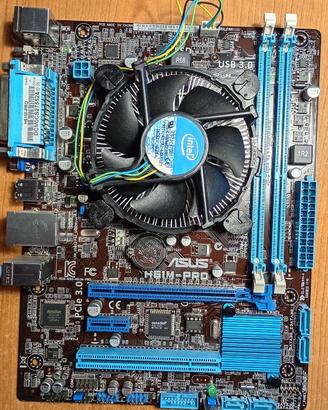 scheda madre ASUS H61M-PRO+Pentium G2030+ventola