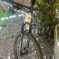 Mtb Tg L carbonio 29 rockrider x race 900 sram