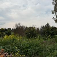 Terreno edificabile a Selegas