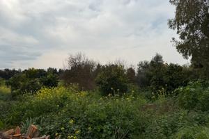 Terreno edificabile a Selegas