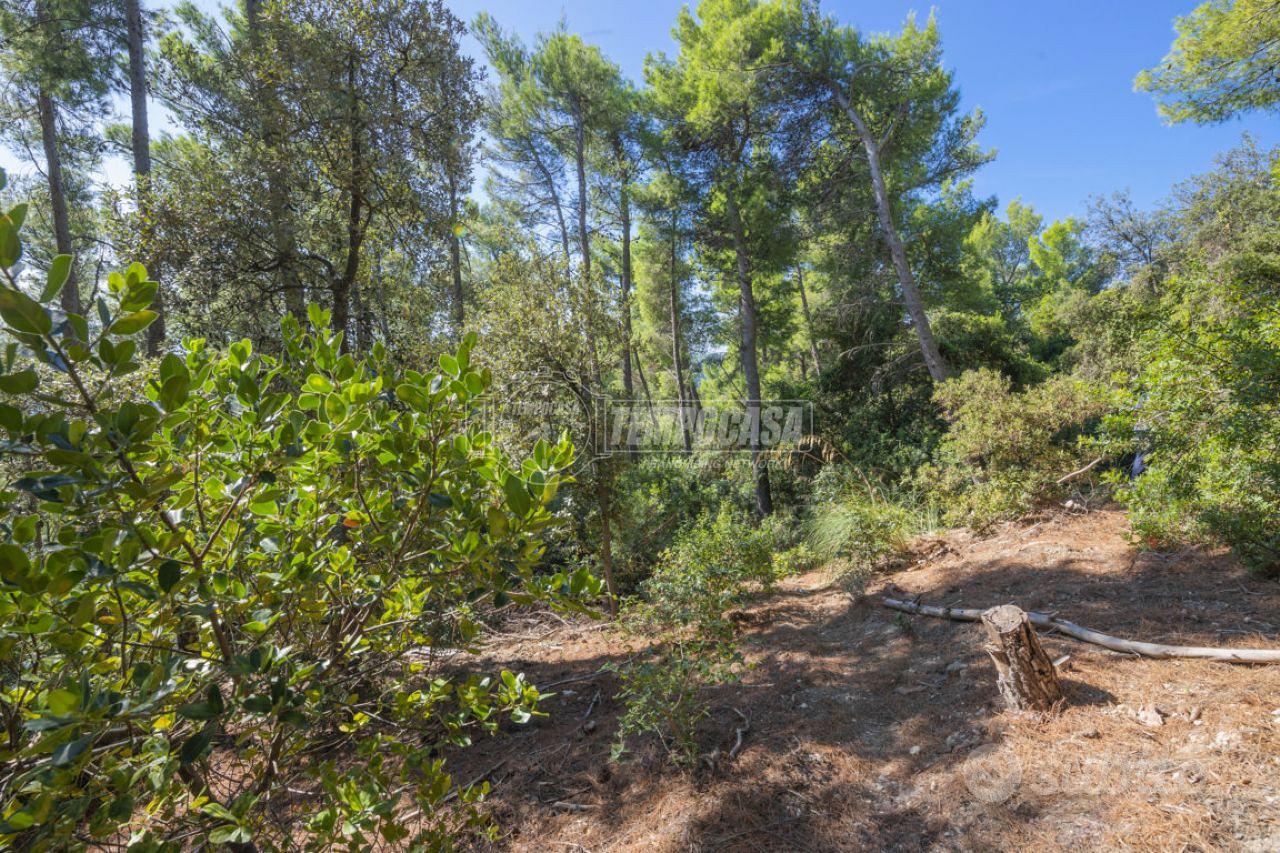TERRENO BOSCHIVO CON VISTA MARE - Altro