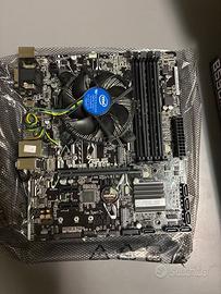 Scheda madre ASUS B250 + processore INTEL I5 7500