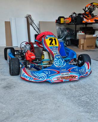 go kart Energy Corse