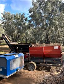 Cernitrice olive de masi