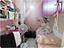 Immagine 15