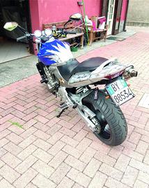 Hornet 600