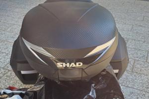Set di valige più staffa  x moto