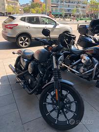 harley davidson sportster