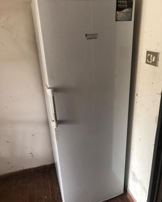 Congelatore hotpoint A+