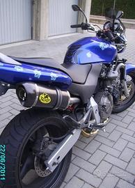 Special Carbon Honda Hornet 600 1998-2002