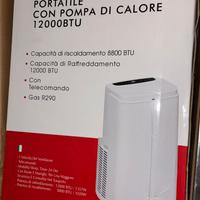 Condizionatore portatile (Pinguino)