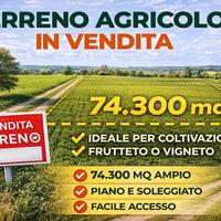 Terreni zona Grignano ed Arquà Pol