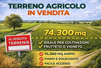 Terreni zona Grignano ed Arquà Pol