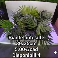 piante finte