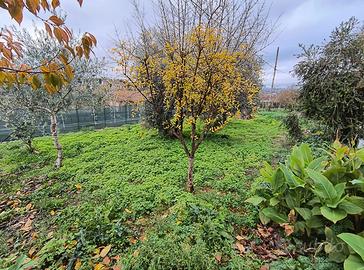 A breve distanza dal centro di Atripalda