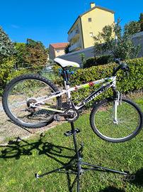 MTB bottecchia 24