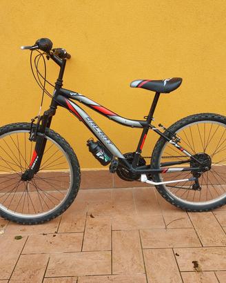bicicletta ragazzo casadei vortex vx24