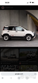 Panda limited Edition 4x40