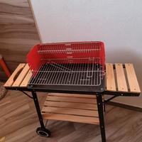 Barbecue a carbonella 