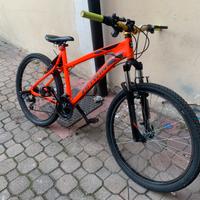 Rockrider 340               26”