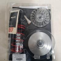 variatore malossi 101 mhr