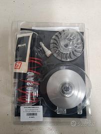 variatore malossi 101 mhr