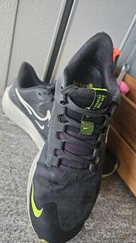 Nike Pegasus 39
