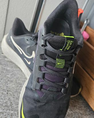 Nike Pegasus 39