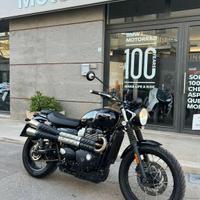 TRIUMPH Street Scrambler 900 my17