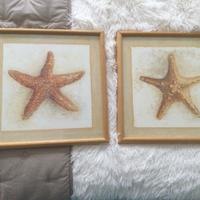 Coppia quadri stelle marine
