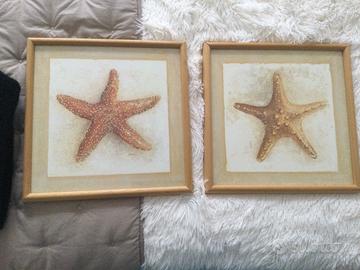 Coppia quadri stelle marine