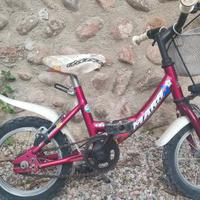 Bicicletta raggio 12