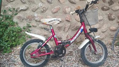 Bicicletta raggio 12