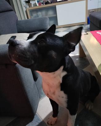 Tyson
