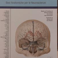 Atlanti di Anatomia Umana Prometeus