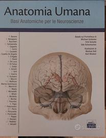 Atlanti di Anatomia Umana Prometeus