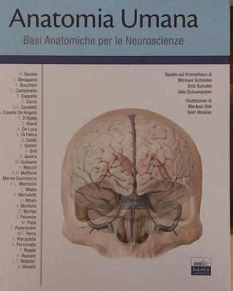 Atlanti di Anatomia Umana Prometeus