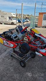 Go kart 125 monomarcia - DR/MODENA ENGINES