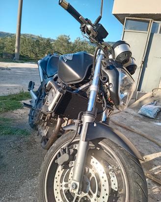 honda hornet 600 