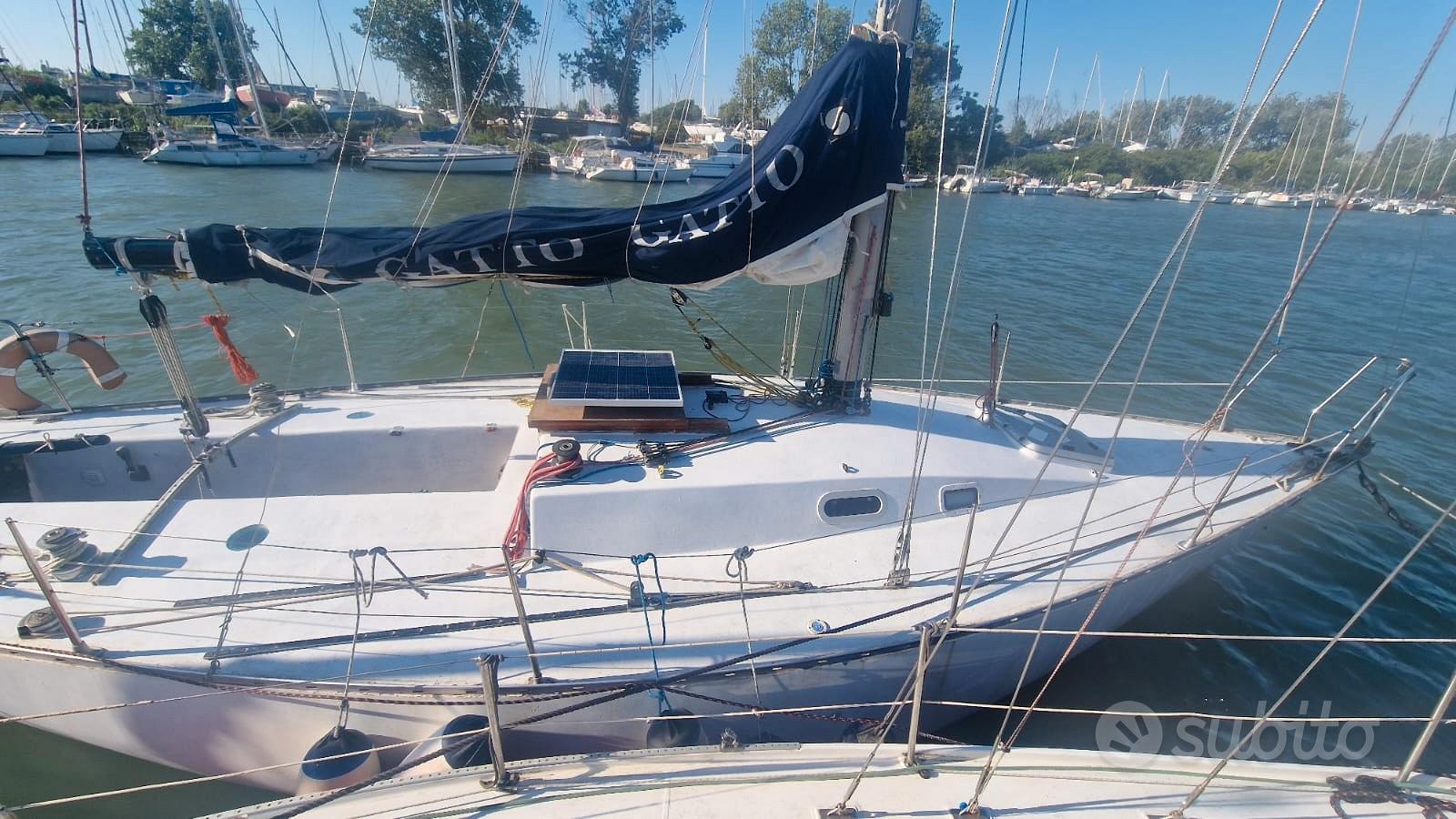 Cat34 — View photo 1