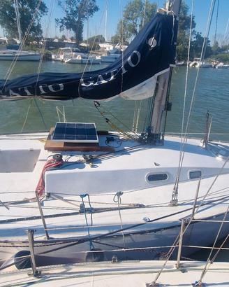 Barca a vela 10m Artmare Cat34 natante