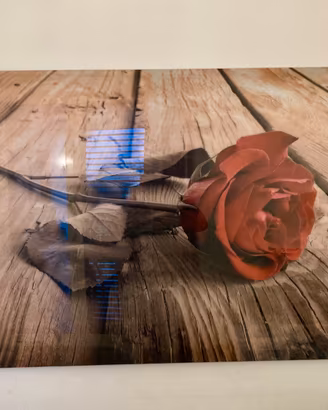 Quadro moderno raffigurante rosa rossa