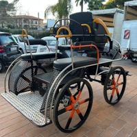 Carrozza mod. Marathon (57)