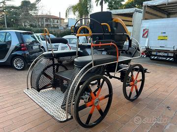 Carrozza mod. Marathon (57)