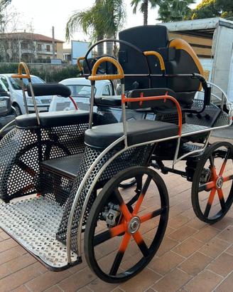 Carrozza mod. Marathon (57)