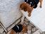Immagine 6