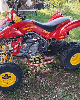 quad 450