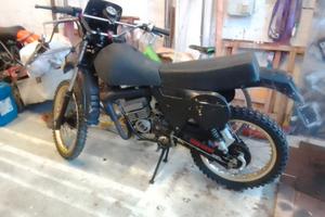 Ciamatti kaiman 501980