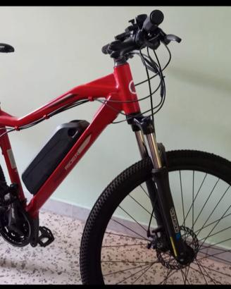Bici elettrica