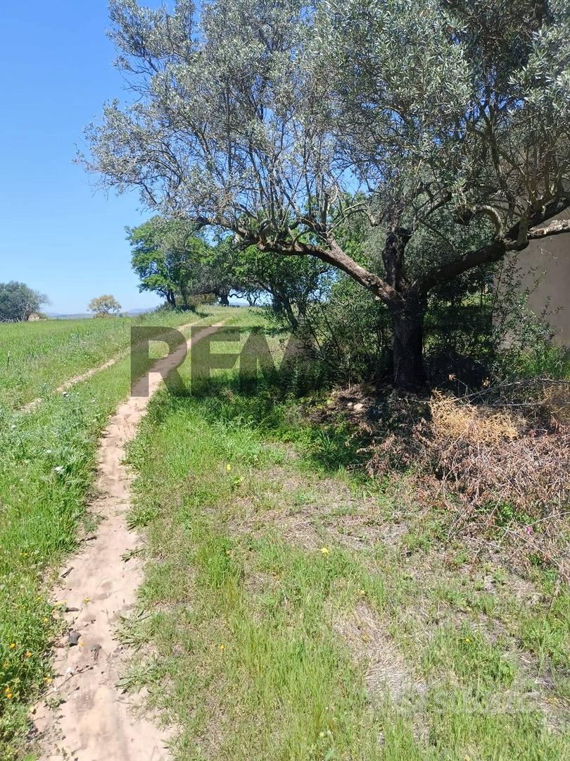 Terreno - Caltagirone - Altro